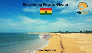 Relocating Pets to Ghana